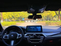 BMW 5 Series 525Li M Sport Package - ფოტო 14
