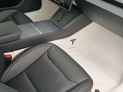 Tesla Model 3 Rear-Wheel Drive - ფოტო 12