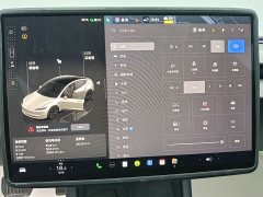 Tesla Model 3 Rear-Wheel Drive - ფოტო 8