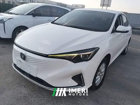 2022 Changan Eado New Energy EV460 Smart Ride-Hailing Edition Ternary Lithium