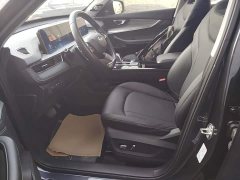Chery Tiggo 8 PLUS 290TGDI DCT Passion Edition - ფოტო 15