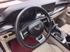 Wuling Xingchen 1.5T CVT Star Shine Edition - ფოტო 5