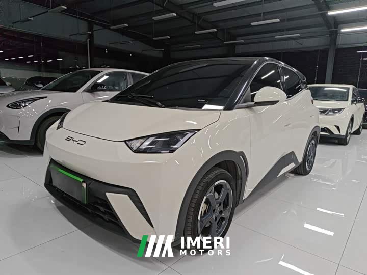 BYD Seagull 2023 Freedom Edition - ავტომობილი ჩინეთიდან