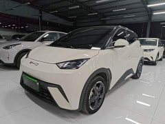 BYD Seagull 2023 Freedom Edition - ფოტო 2
