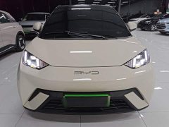 BYD Seagull 2023 Freedom Edition - ფოტო 3