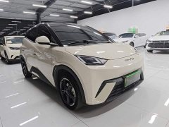 BYD Seagull 2023 Freedom Edition - ფოტო 4