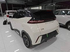 BYD Seagull 2023 Freedom Edition - ფოტო 5