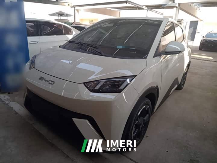 BYD Seagull Freedom Edition - ავტომობილი ჩინეთიდან