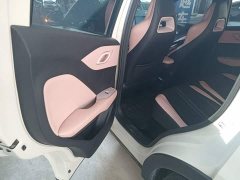 BYD Seagull Freedom Edition - ფოტო 17
