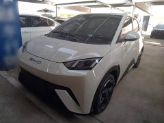 BYD Seagull Freedom Edition - ფოტო 2