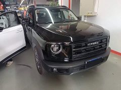 Great Wall Dachshund 2026 1.5T DCT Border Collie Edition - ფოტო 4