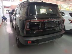 Great Wall Dachshund 2026 1.5T DCT Border Collie Edition - ფოტო 5