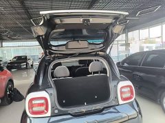 ORA Black Cat 351km Luxury - ფოტო 19