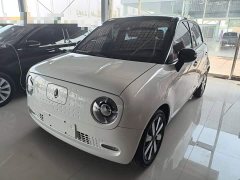ORA Black Cat 351km Luxury - ფოტო 2