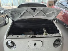 ORA Black Cat 351km Luxury - ფოტო 20