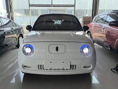 ORA Black Cat 351km Luxury - ფოტო 3