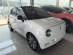 ORA Black Cat 351km Luxury - ფოტო 4
