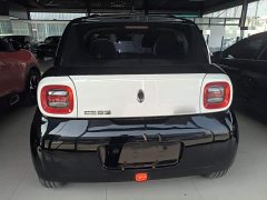 ORA Black Cat 351km Luxury - ფოტო 6