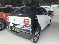 ORA Black Cat 351km Luxury - ფოტო 7