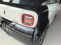 ORA Black Cat 351km Luxury - ფოტო 8