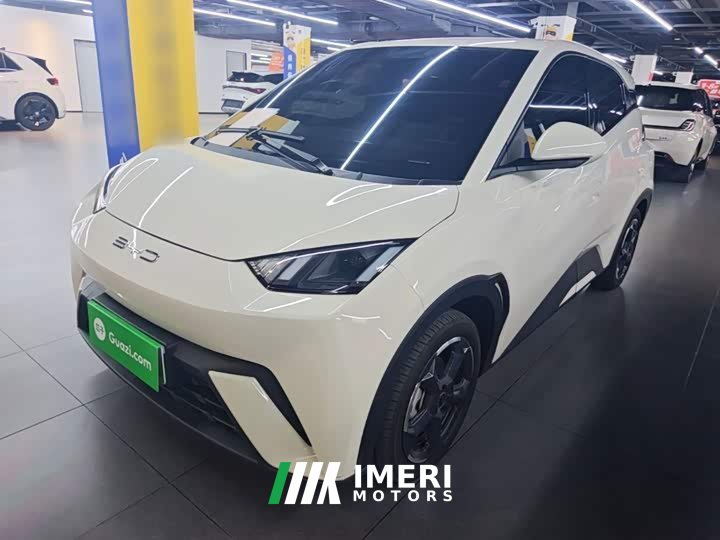 BYD Seagull 2023 Freedom Edition - ავტომობილი ჩინეთიდან