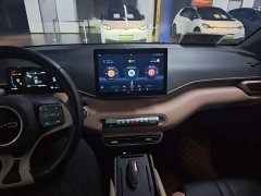 BYD Seagull 2023 Freedom Edition - ფოტო 10