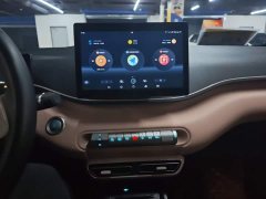 BYD Seagull 2023 Freedom Edition - ფოტო 13