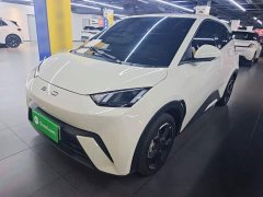 BYD Seagull 2023 Freedom Edition - ფოტო 2