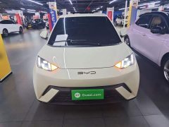 BYD Seagull 2023 Freedom Edition - ფოტო 3