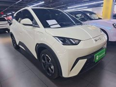 BYD Seagull 2023 Freedom Edition - ფოტო 4