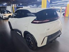 BYD Seagull 2023 Freedom Edition - ფოტო 5