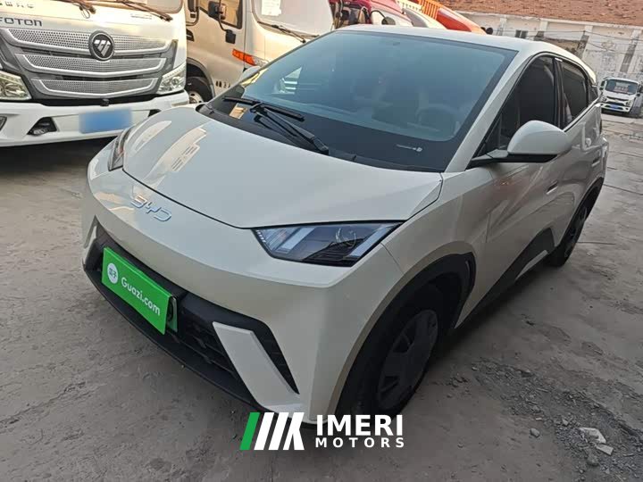 BYD Seagull 305km Vitality Edition - ავტომობილი ჩინეთიდან