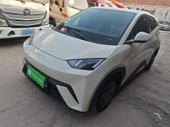 BYD Seagull 305km Vitality Edition - ფოტო 1