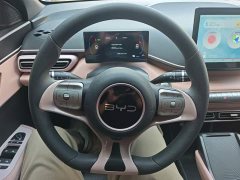 BYD Seagull 305km Vitality Edition - ფოტო 11