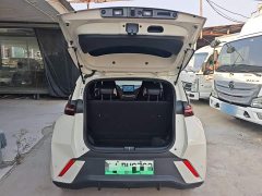 BYD Seagull 305km Vitality Edition - ფოტო 19