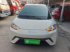 BYD Seagull 305km Vitality Edition - ფოტო 3