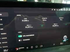 XPeng P7 P7i 702 Pro - ფოტო 12