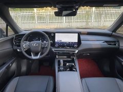 Lexus RX 350h FWD Pleasure Edition - ფოტო 16