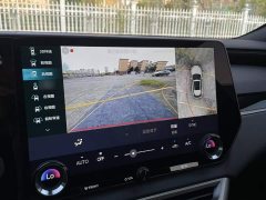 Lexus RX 350h FWD Pleasure Edition - ფოტო 19