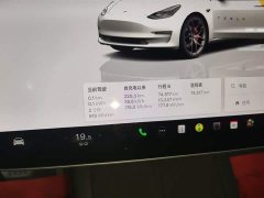 Tesla Model 3 2022 Performance All-Wheel Drive - ფოტო 12