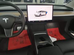 Tesla Model 3 2022 Performance All-Wheel Drive - ფოტო 13
