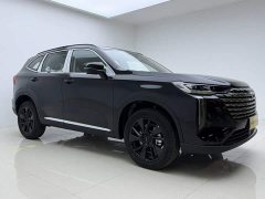 Haval H6 2024 1.5T Two-Wheel Drive Max - ფოტო 20