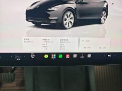 Tesla Model Y Rear-Wheel Drive - ფოტო 12