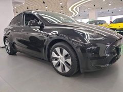 Tesla Model Y Rear-Wheel Drive - ფოტო 4