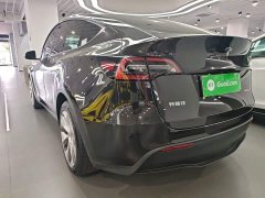 Tesla Model Y Rear-Wheel Drive - ფოტო 5