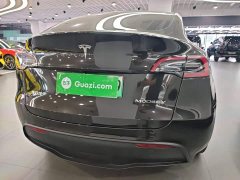 Tesla Model Y Rear-Wheel Drive - ფოტო 6