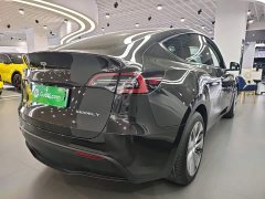 Tesla Model Y Rear-Wheel Drive - ფოტო 7