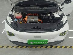 Geely Geometry E Firefly 401KM Linglong Tiger 5-Seater - ფოტო 20