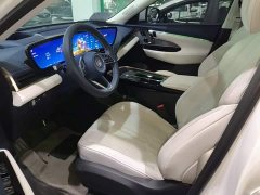 Buick E5 AWD Edition - ფოტო 15