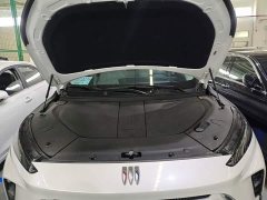 Buick E5 AWD Edition - ფოტო 20